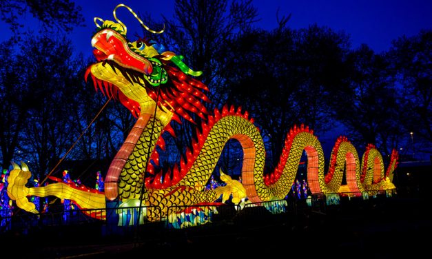 China Lights Giveaway