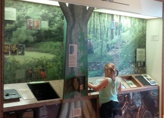 Warner Park Nature Center Renovated