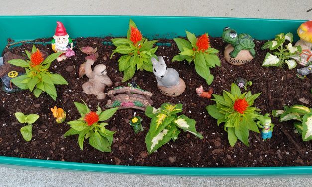 Fairy Gardening Fun with your Kids