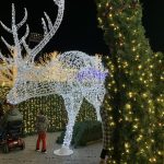 enchant nashville light maze reindeer
