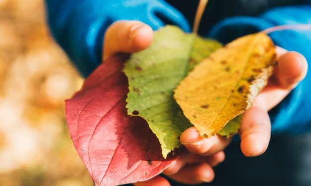 Connection Through Autumn Activities for Kids